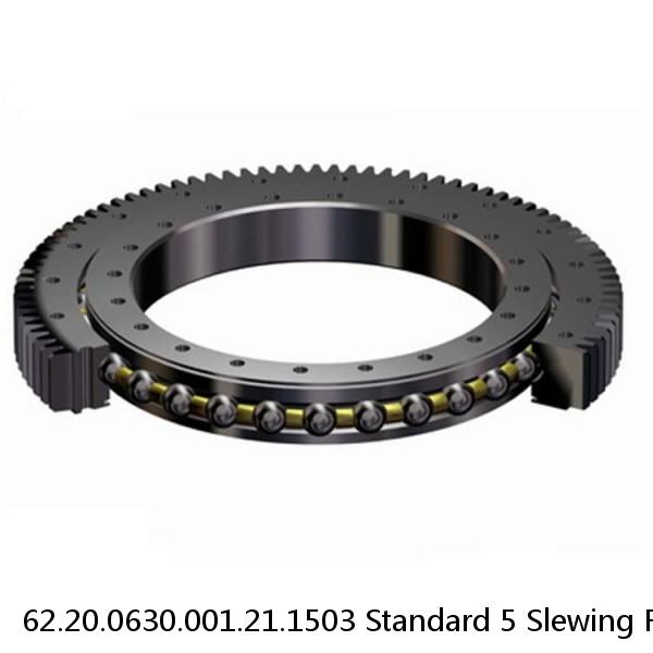 62.20.0630.001.21.1503 Standard 5 Slewing Ring Bearings