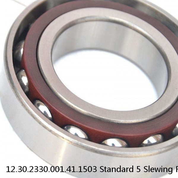 12.30.2330.001.41.1503 Standard 5 Slewing Ring Bearings