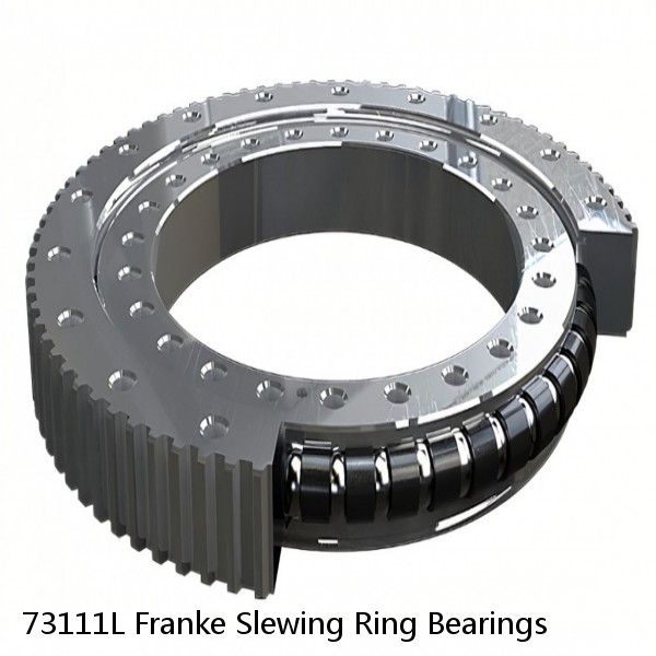 73111L Franke Slewing Ring Bearings