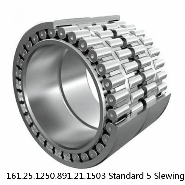 161.25.1250.891.21.1503 Standard 5 Slewing Ring Bearings