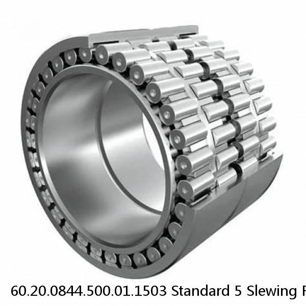 60.20.0844.500.01.1503 Standard 5 Slewing Ring Bearings #1 small image