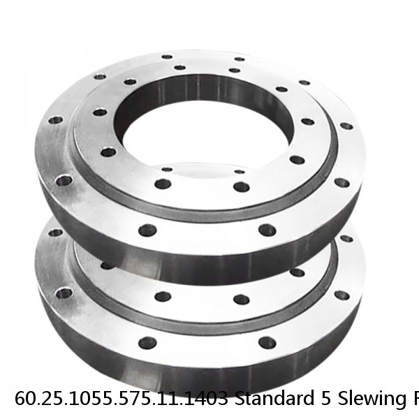60.25.1055.575.11.1403 Standard 5 Slewing Ring Bearings #1 small image