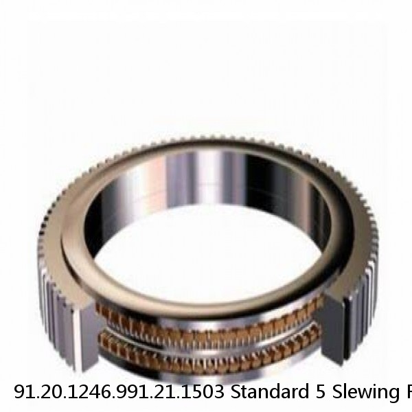 91.20.1246.991.21.1503 Standard 5 Slewing Ring Bearings #1 small image