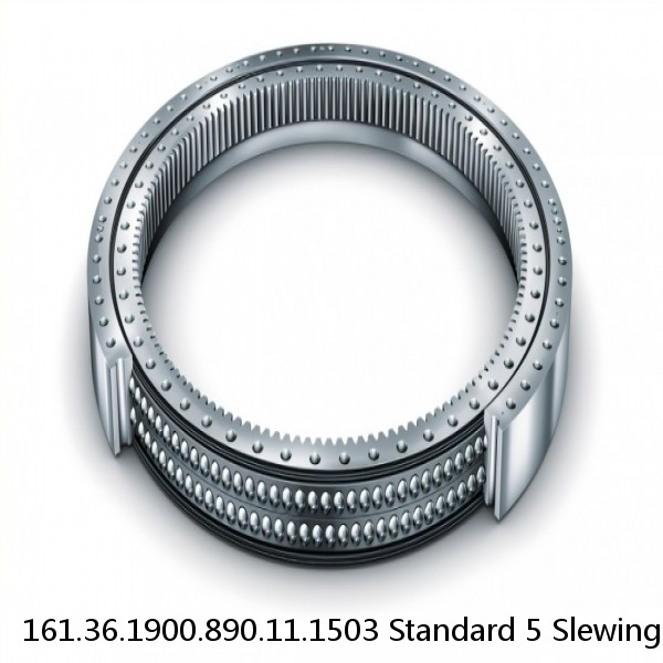 161.36.1900.890.11.1503 Standard 5 Slewing Ring Bearings