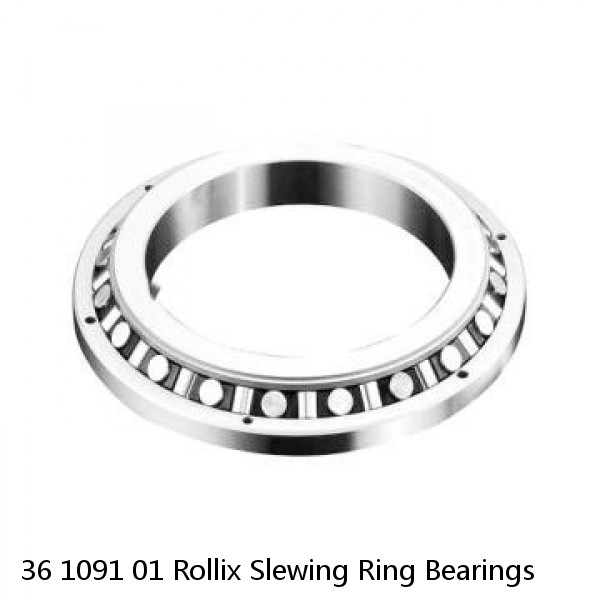 36 1091 01 Rollix Slewing Ring Bearings #1 small image