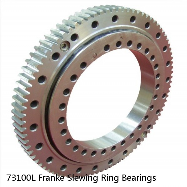 73100L Franke Slewing Ring Bearings #1 small image