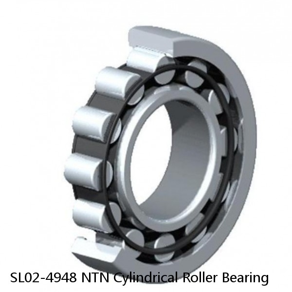 SL02-4948 NTN Cylindrical Roller Bearing