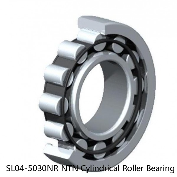 SL04-5030NR NTN Cylindrical Roller Bearing