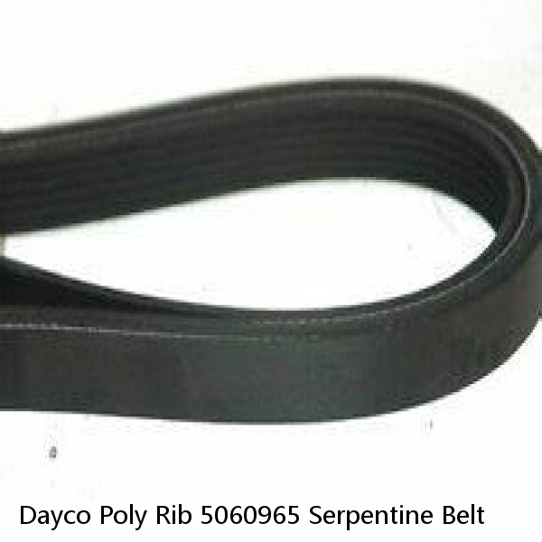 Dayco Poly Rib 5060965 Serpentine Belt #1 small image