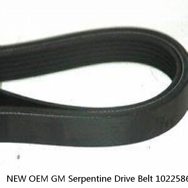 NEW OEM GM Serpentine Drive Belt 10225865 Chevy GMC Truck SUV 4.3 5.0 5.7 96-00 #1 small image