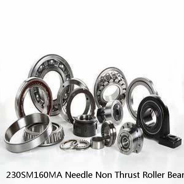230SM160MA Needle Non Thrust Roller Bearings #1 image
