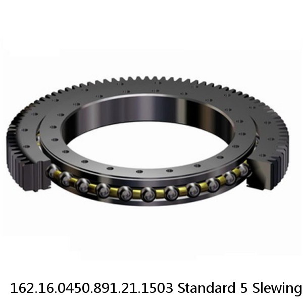 162.16.0450.891.21.1503 Standard 5 Slewing Ring Bearings #1 image
