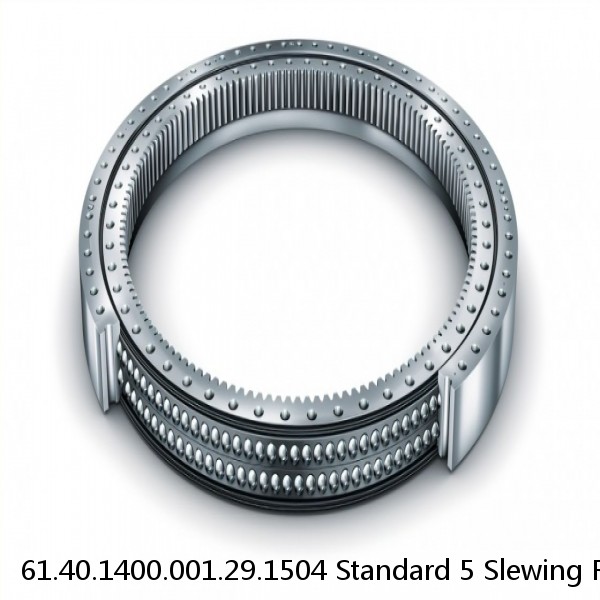 61.40.1400.001.29.1504 Standard 5 Slewing Ring Bearings #1 image