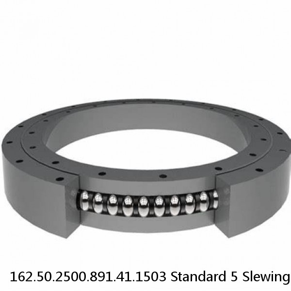 162.50.2500.891.41.1503 Standard 5 Slewing Ring Bearings #1 image