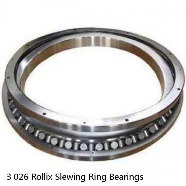 3 026 Rollix Slewing Ring Bearings #1 image