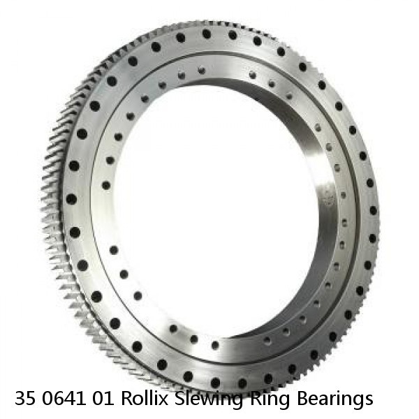 35 0641 01 Rollix Slewing Ring Bearings #1 image