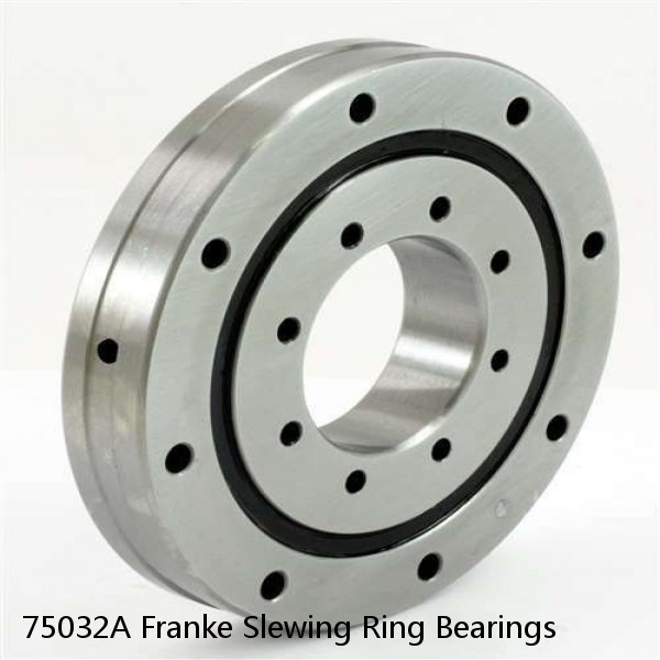 75032A Franke Slewing Ring Bearings #1 image