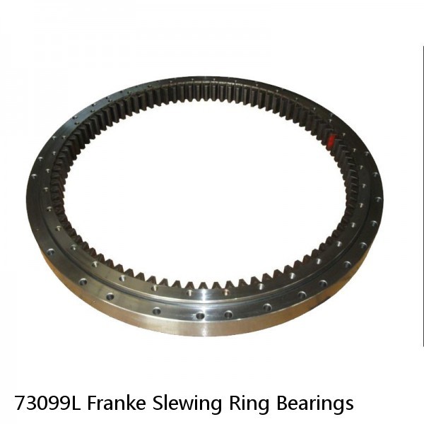 73099L Franke Slewing Ring Bearings #1 image