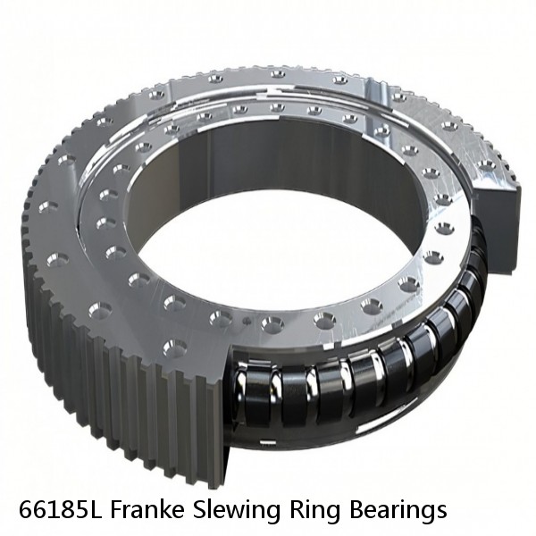 66185L Franke Slewing Ring Bearings #1 image