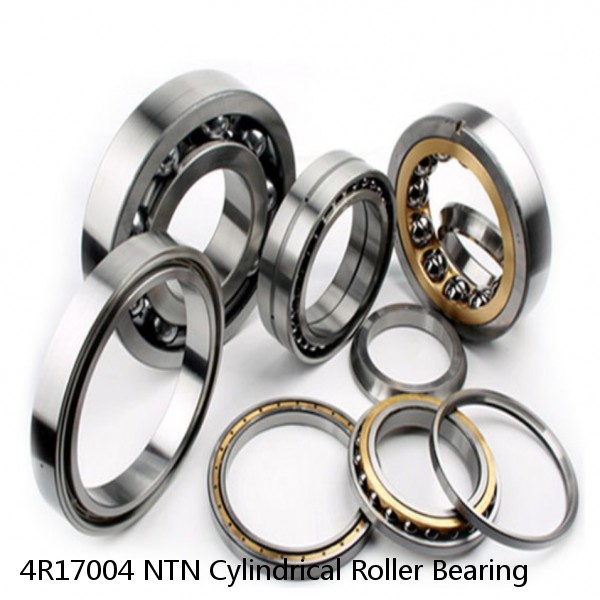 4R17004 NTN Cylindrical Roller Bearing #1 image