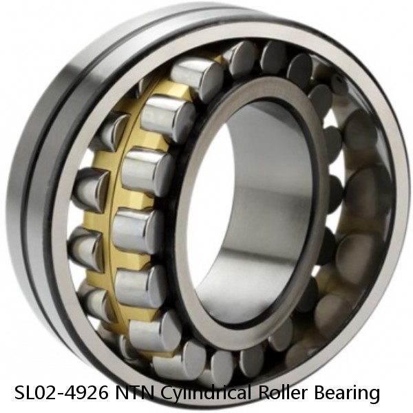 SL02-4926 NTN Cylindrical Roller Bearing #1 image