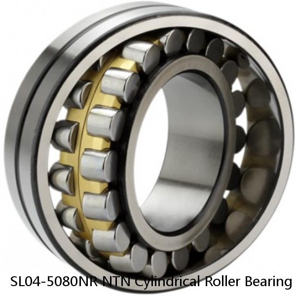 SL04-5080NR NTN Cylindrical Roller Bearing #1 image