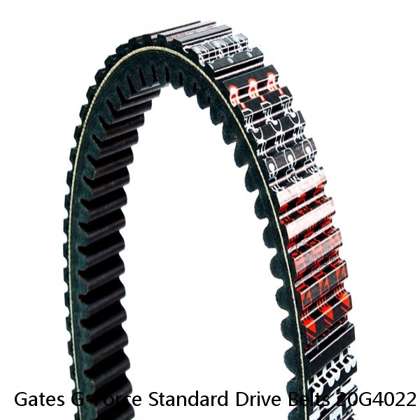 Gates G-Force Standard Drive Belts 20G4022 1142-0559 377314 #1 image